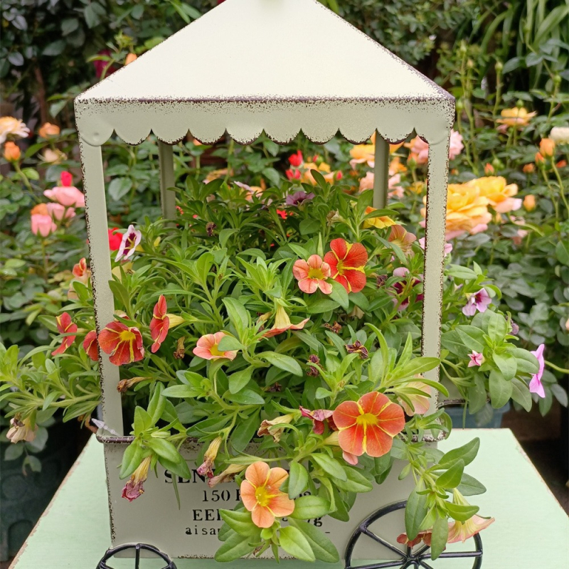 Metalo vazonų stovėtuvas staliniam naudojimui; geležinė konstrukcija; tinka mažiems vazonams.