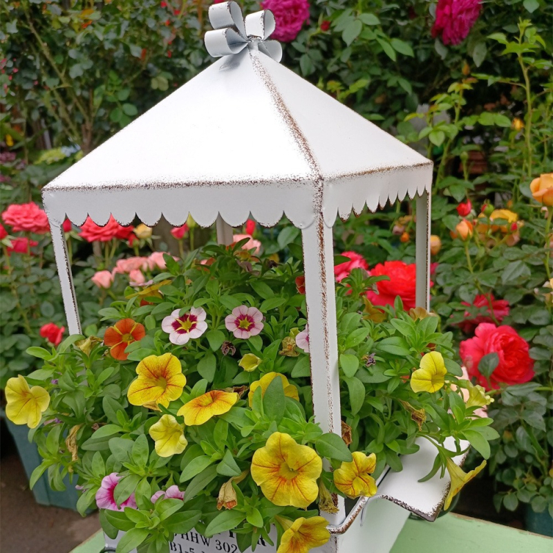 Metalo vazonų stovėtuvas staliniam naudojimui; geležinė konstrukcija; tinka mažiems vazonams.