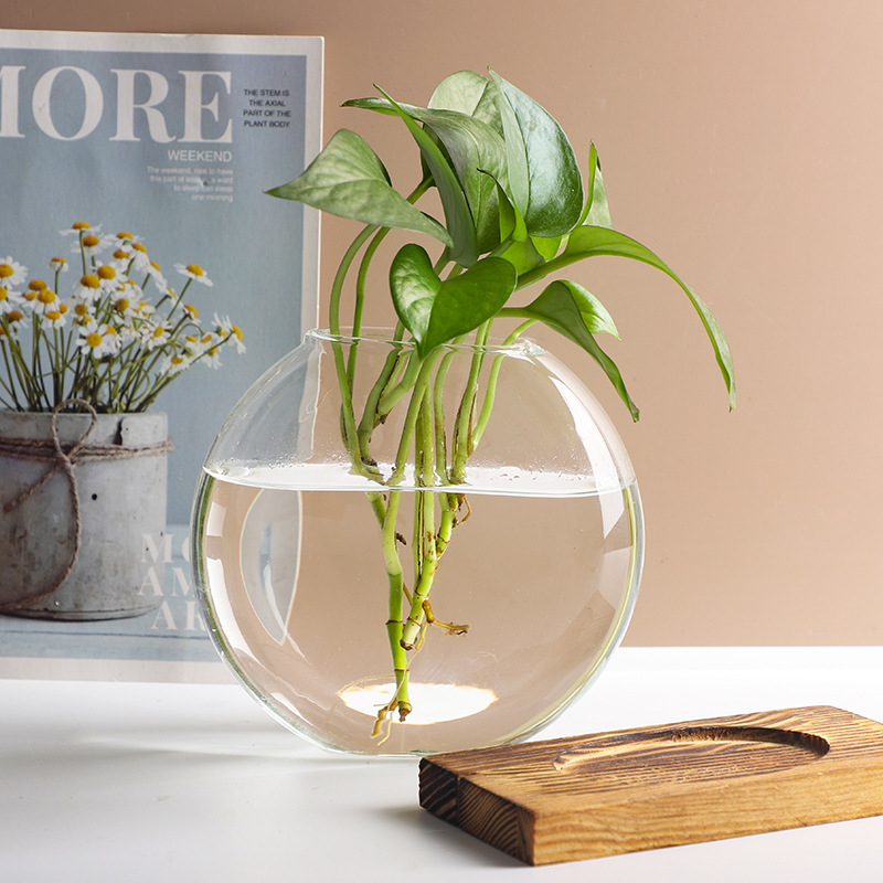 Biuro stalo vaza hidroponiniam vandens auginimui, stiklas pūtimas, poliruotas paviršius, šiaurietiškas minimalistinis stilius, geometrinis dizainas