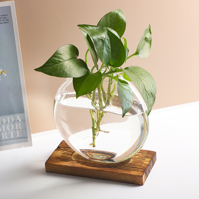 Biuro stalo vaza hidroponiniam vandens auginimui, stiklas pūtimas, poliruotas paviršius, šiaurietiškas minimalistinis stilius, geometrinis dizainas
