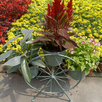 Lauko gėlių vazonų laikiklis iš kalto plieno, grindinis dizainas Ferris rato