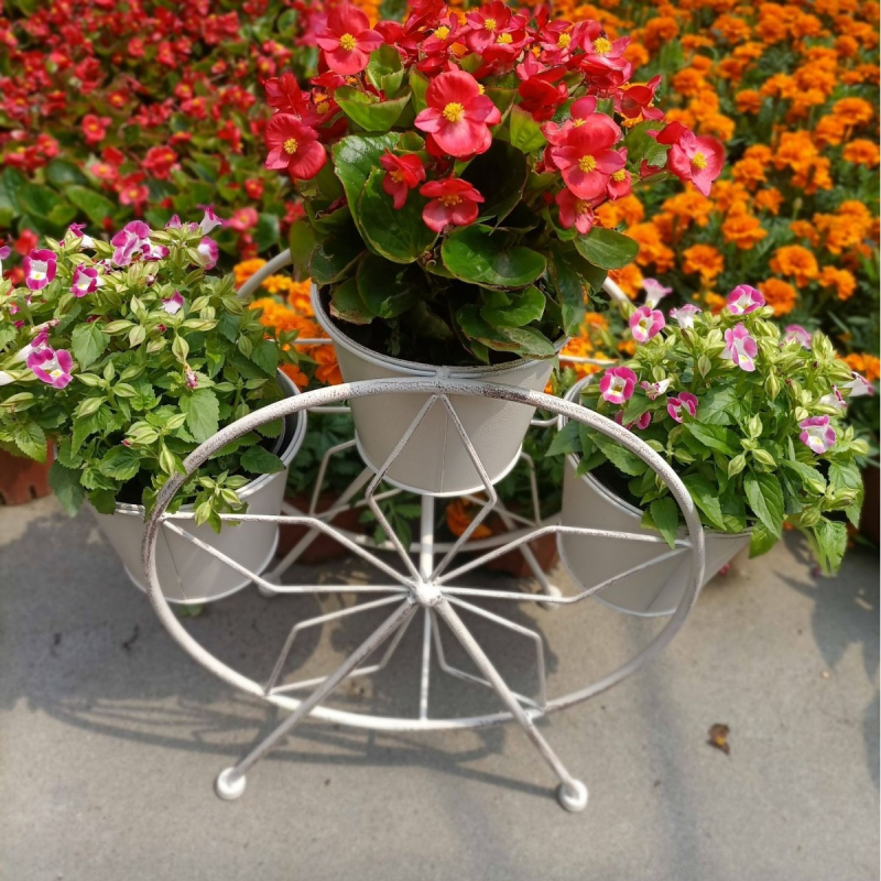 Lauko gėlių vazonų laikiklis iš kalto plieno, grindinis dizainas Ferris rato