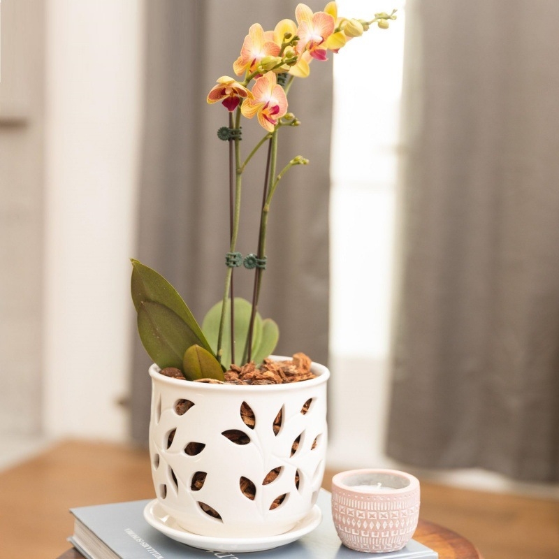 Keraminė gėlių vazonas su glazūra, skirtas stalui arba grindims, kvėpuojantis, atsparus korozijai, tvirtas