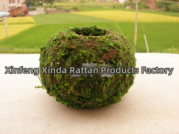 Gėlių vazonas su natūralia Carex samanų kamuoliu — kvėpuojantis, biologiškai skaidrus, vandens taupymas, rankų darbas