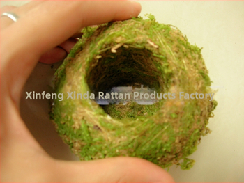 Gėlių vazonas su natūralia Carex samanų kamuoliu — kvėpuojantis, biologiškai skaidrus, vandens taupymas, rankų darbas