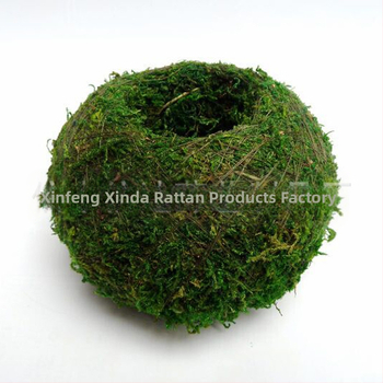 Gėlių vazonas su natūralia Carex samanų kamuoliu — kvėpuojantis, biologiškai skaidrus, vandens taupymas, rankų darbas