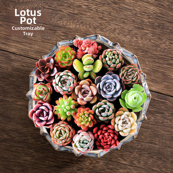 Keraminė gėlių vaza, grindų pastatoma, pastoralinis stilius, namų sodininkystei