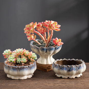 Keraminė gėlių vaza, grindų pastatoma, pastoralinis stilius, namų sodininkystei