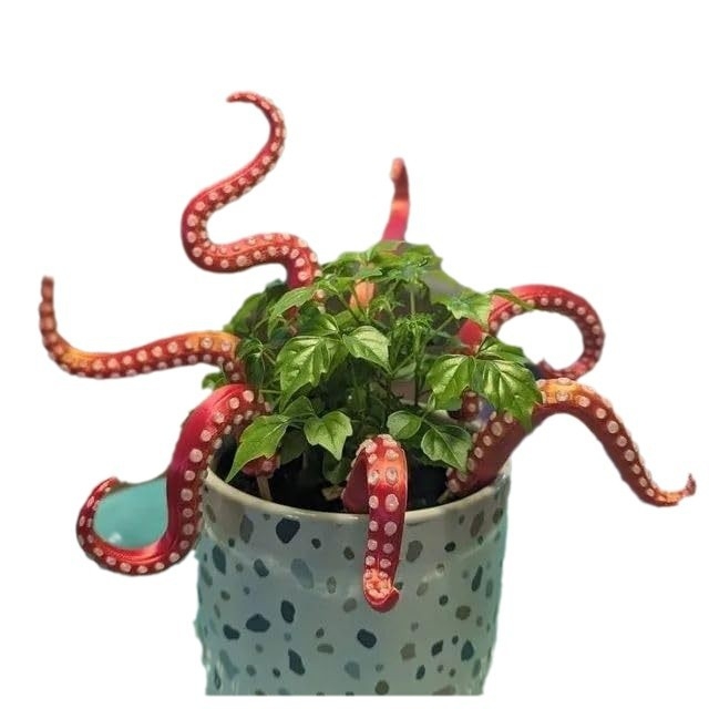 7 dalių jūros pabaisa tentakulės rinkinys, PLA, 3D spausdinimas, šiuolaikinio meno stilius