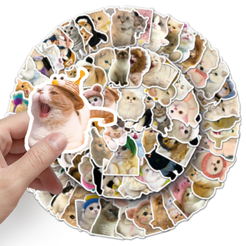 Set de autocolante cu expresii de pisică: 100 autocolante rotunde, rezistente la apă, cu expresii drăguțe pentru telefoane și calculatoare