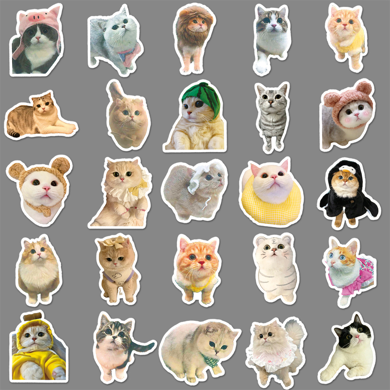 Set de autocolante cu expresii de pisică: 100 autocolante rotunde, rezistente la apă, cu expresii drăguțe pentru telefoane și calculatoare