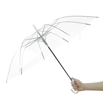 Skaidrus skėtis studentų bendrabčiui, šiuolaikiškas minimalistinis dizainas su ilga kotu, plastikinis gaubtas, 8 plieninės skėčių šakos, rankinis atidarymas, logotipo pritaikymas