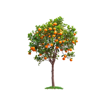 Διακοσμητικό αυτοκόλλητο τοίχου από PVC με μοτίβο φυτών/δέντρου, αδιάβροχο, μοντέρνος μινιμαλιστικός διακοσμητικός σχεδιασμός για σαλόνι και υπνοδωμάτιο.