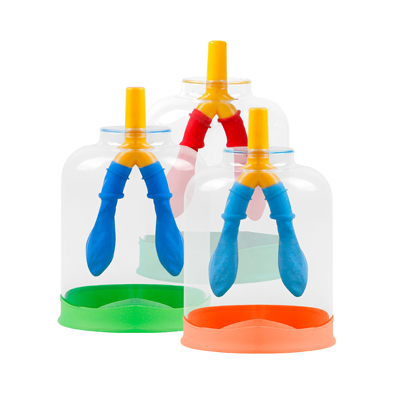 Μοντέλο κίνησης διαφράγματος και προσομοιωτής αναπνοής πνευμόνων για τη φυσική γυμνασίου, διδακτικό βοήθημα από πλαστικό-καουτσούκ Liuxin