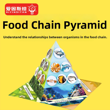 Kit educațional DIY de biologie: piramida lanțului trofic cu materiale multiple, ambalare separată, pentru copii 7–14 ani