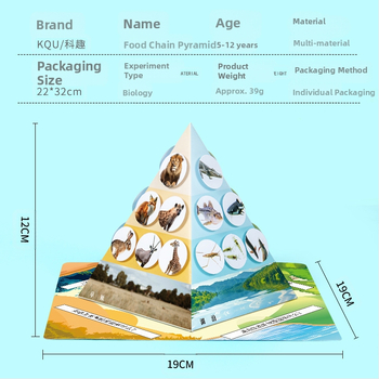 Εκπαιδευτικό κιτ DIY στη βιολογία: πυραμίδα τροφικής αλυσίδας με υλικά ποικίλων τύπων, αυτόνομη συσκευασία, για παιδιά 7–14 ετών