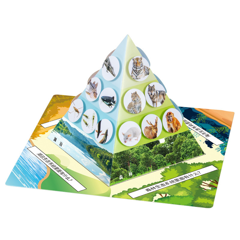 Kit educațional DIY de biologie: piramida lanțului trofic cu materiale multiple, ambalare separată, pentru copii 7–14 ani