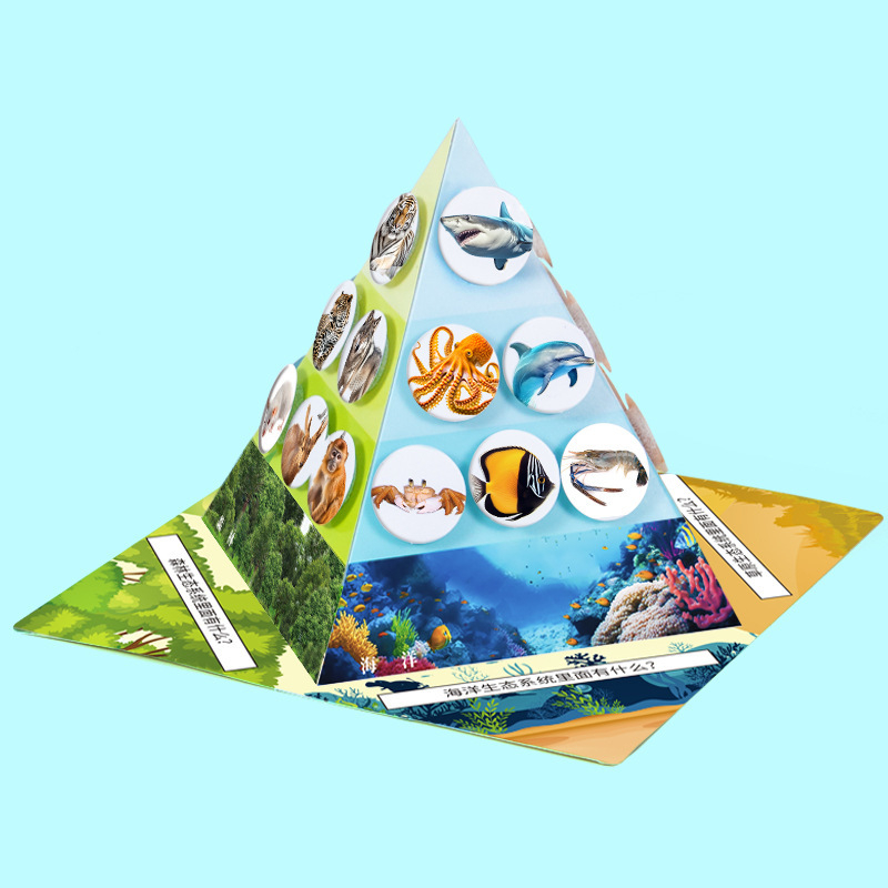 Kit educațional DIY de biologie: piramida lanțului trofic cu materiale multiple, ambalare separată, pentru copii 7–14 ani