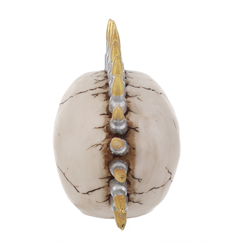 Резинова черепна декоративна фигура за Хелоуин, стил модерно изкуство, марка Rushen, материали: синтетична смола и пластмаса