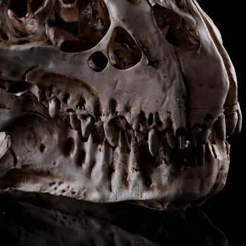 Rushen череп на тиранозавъра от смола — синтетична смола, модерен арт, животинска статуя