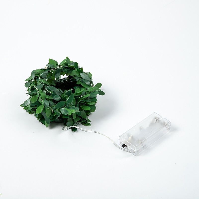 Vario vielos LED girlianda, 20 LED, įvesties įtampa ≤36 V, maitinama baterijų dėže, rankinis valdymas