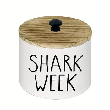 Ξύλινο επιτραπέζιο κουτί αποθήκευσης, μοντέρνο μινιμαλιστικό στυλ, μεγάλη χωρητικότητα, μοντέλο JL-24-905-683