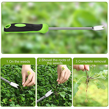 Rankupa nerūdijančio plieno šaknų įrankis sodininkystei – piktžolių išrovimas ir dirvos laisvinimas