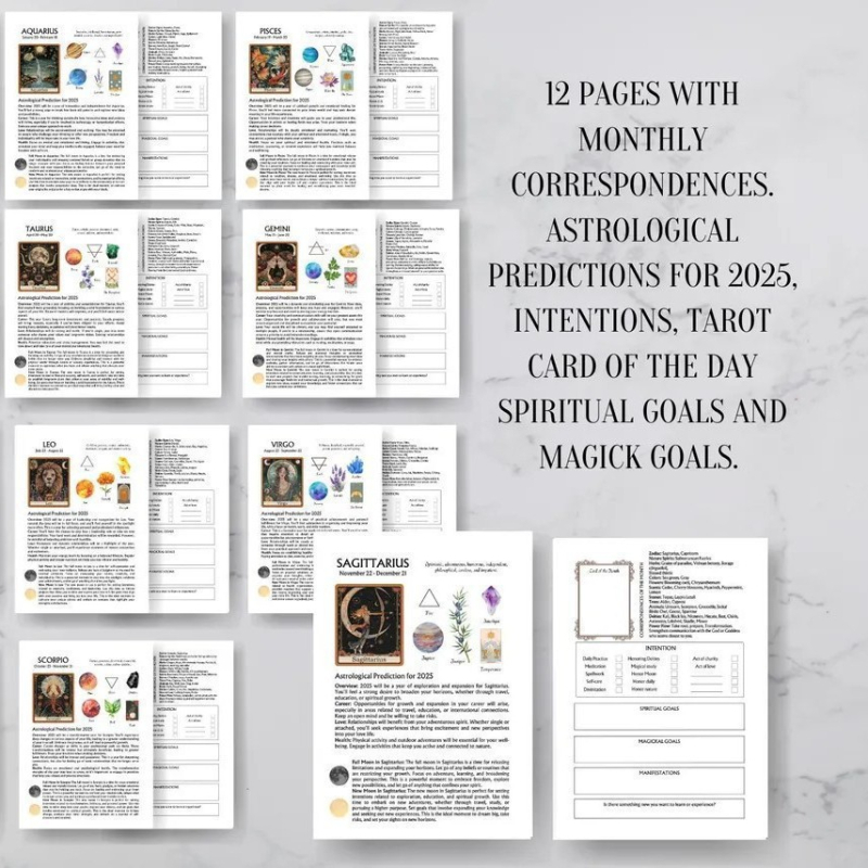 Planer vrajitoare – notebook cu stil creativ, Dowling hârtie, husă din hârtie, ediția 2025