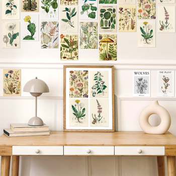 Σετ ευχετήριών καρτών, 50 τεμάχια, με θέματα ζωών και φυτών, για διακόσμηση τοίχου κοιτώνα, ρετρό floral σχέδιο, εκτυπωμένες κάρτες μηνυμάτων