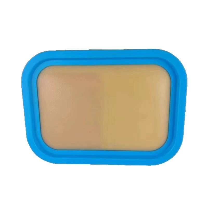 Τσάντα εκπαίδευσης βελονισμού για φοιτητές κινεζικής ιατρικής, ABS υλικό, μοντέλο MZSNSQ-288, κουτί 80 τεμαχίων, εκτυπωμένο λογότυπο