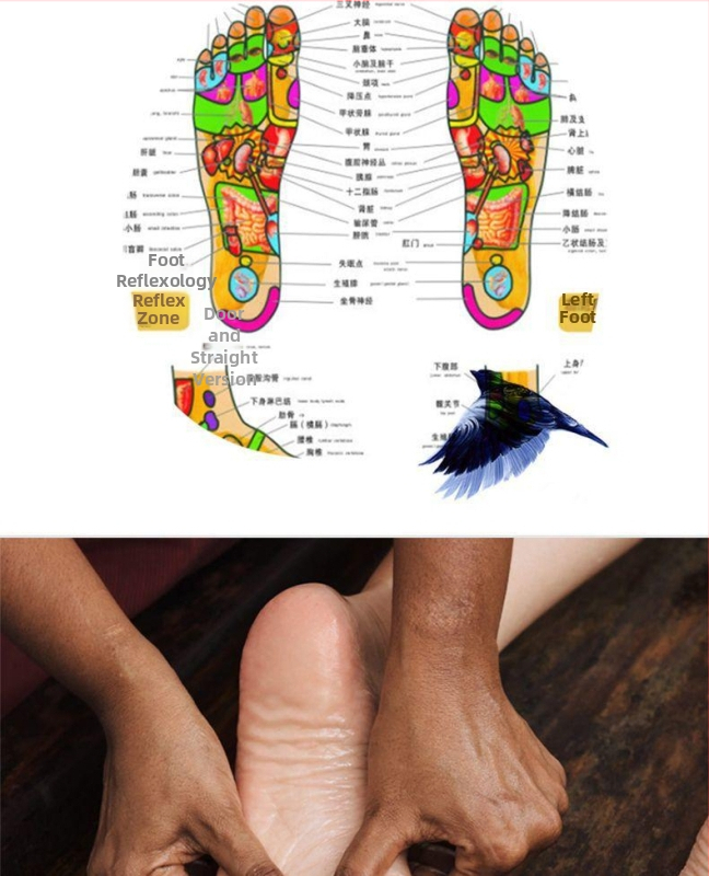 Масажор за крак – автоматичен многофункционален апарат за терапия на стъпала и крака, с горещ компрес, месене и масаж, таймер и компютърен контрол