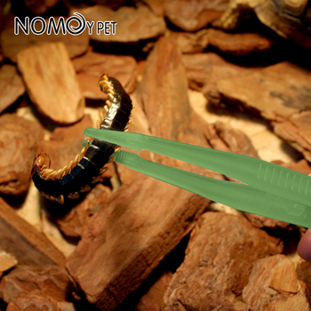NOMOY PET Φωτεινές τσιμπίδες ταΐσματος για ερπετά, Προέλευση Zhejiang Jiaxing