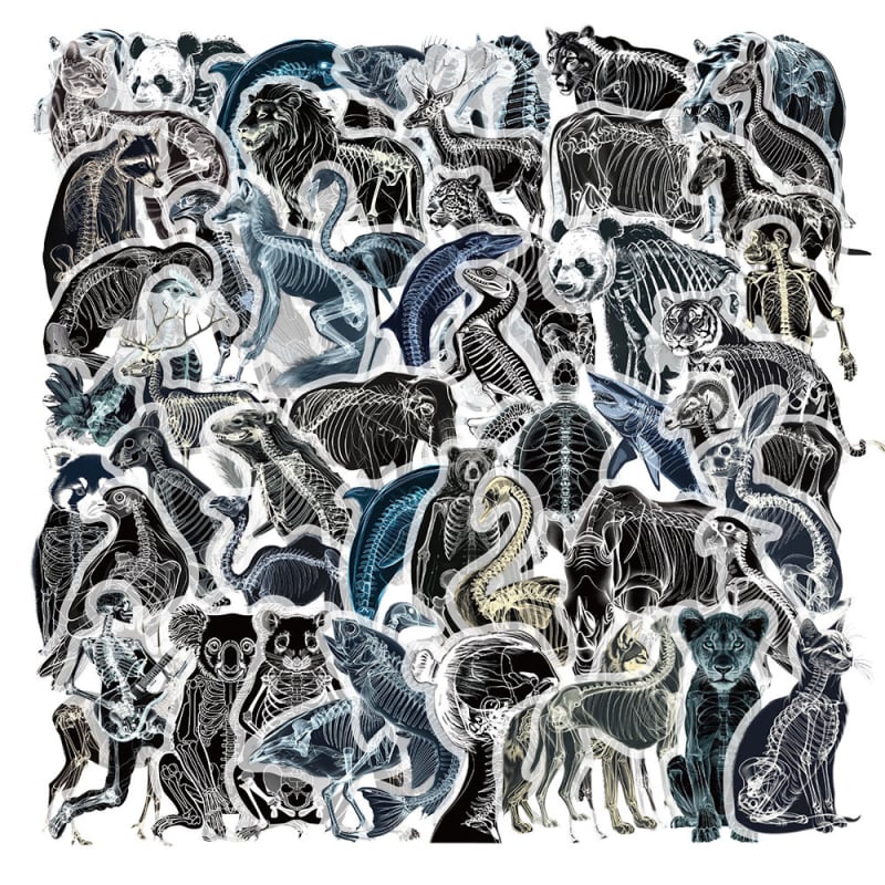 Αυτοκόλλητα με ζωικούς ακτινογραφικούς οστούς, 50 τεμάχια, PVC, μοντέρνο μινιμαλιστικό στυλ, εκτυπωμένο λογότυπο, διακοσμητικό γραφείου