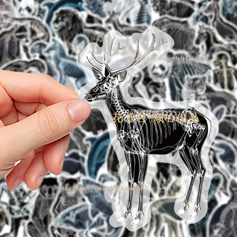 Стикери със животински рентгенови костни фигури, 50 бр, марка Su ye, PVC, модерен минималистичен стил, печатено лого