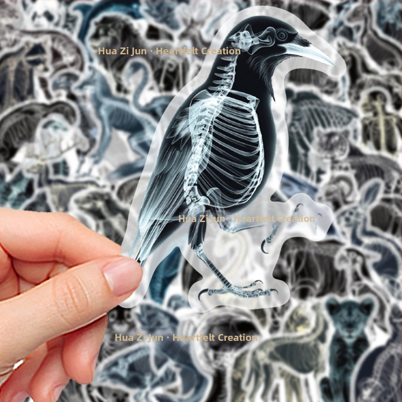 Стикери със животински рентгенови костни фигури, 50 бр, марка Su ye, PVC, модерен минималистичен стил, печатено лого