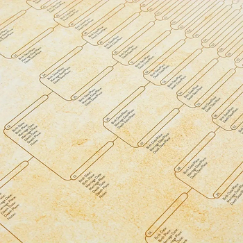 Šeimos medžio plakatas — rašomas, pritaikomas, kartoninis plakatas