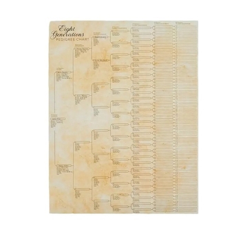 Šeimos medžio plakatas — rašomas, pritaikomas, kartoninis plakatas