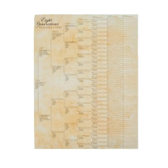 Šeimos medžio plakatas — rašomas, pritaikomas, kartoninis plakatas