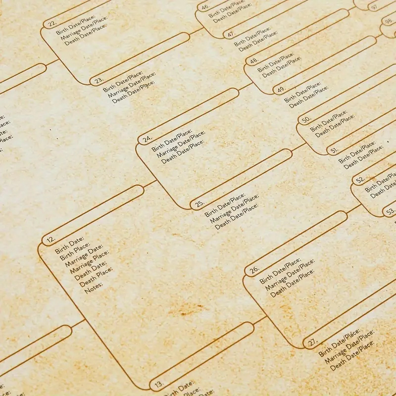 Šeimos medžio plakatas — rašomas, pritaikomas, kartoninis plakatas