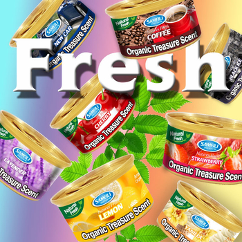 Αρωματοφόρο αυτοκινήτου με φλοράλ άρωμα, χωρητικότητα 25–50 ml, τοποθέτηση σε κάθισμα, πλαστικός φορέας