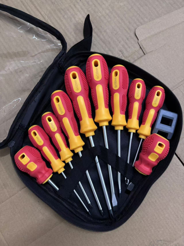 Desetkomplet magnetskih odvijača s Phillips i ravnim vrhovima, od Cr-V čelika