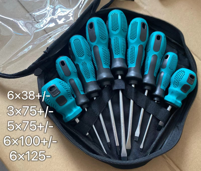 Desetkomplet magnetskih odvijača s Phillips i ravnim vrhovima, od Cr-V čelika