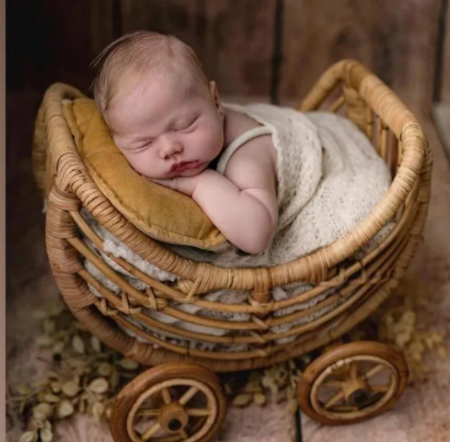 Καρέκλα ρατάν για φωτογράφηση μωρού — Kitten; Υλικό: ρατάν; Κατάλληλο για φωτογράφηση ρούχων; Βάρος: 1,3 kg; Αξεσουάρ φωτογραφικού στούντιο