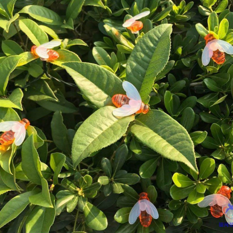 Bičių saulės šviestuvų girliandos lauko, atsparios vandeniui, žemas įtampa, 0,05W kiekvienai lempai, 36V įėjimas