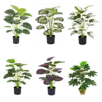 Vidinis dirbtinis žalios augalo sienos dekoras — 3D spausdinimo dizainas, žalios augalo rūšis, prekinis ženklas Miao Miao