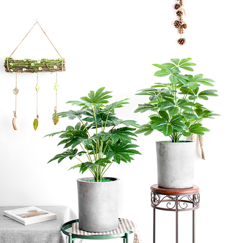 Vidinis dirbtinis žalios augalo sienos dekoras — 3D spausdinimo dizainas, žalios augalo rūšis, prekinis ženklas Miao Miao