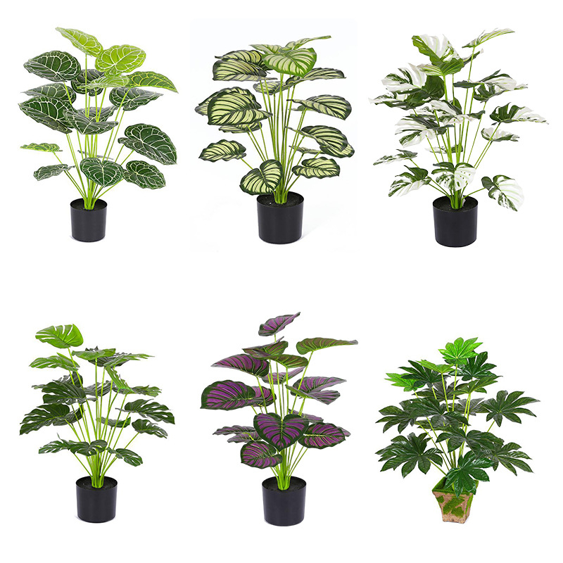 Vidinis dirbtinis žalios augalo sienos dekoras — 3D spausdinimo dizainas, žalios augalo rūšis, prekinis ženklas Miao Miao