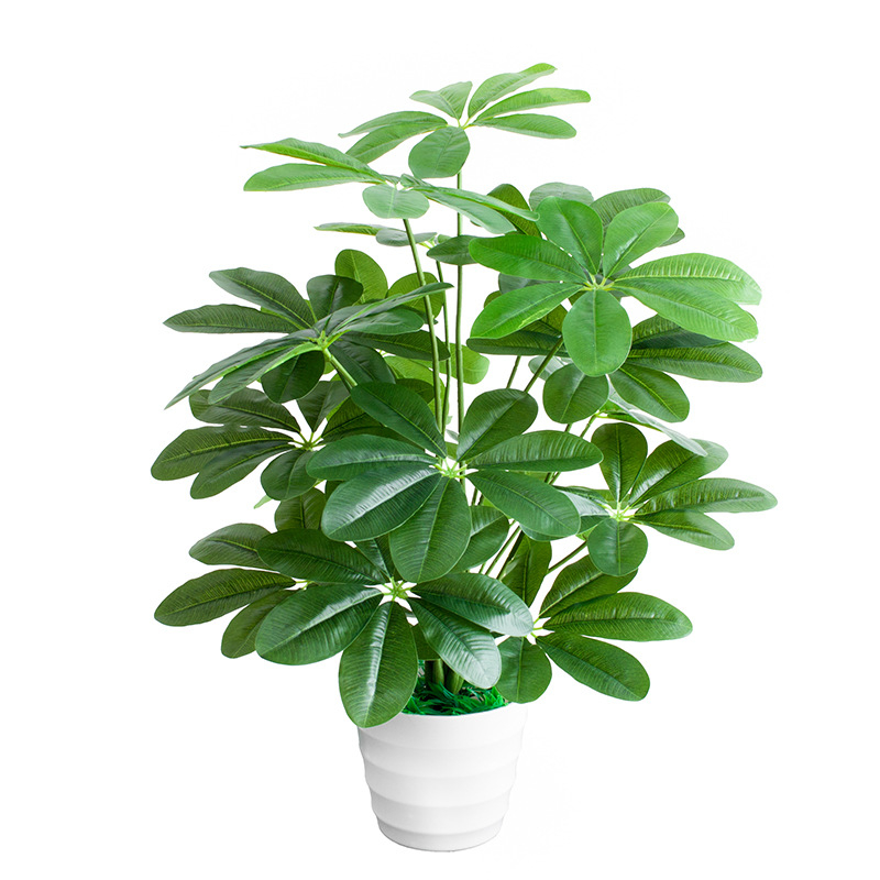 Vidinis dirbtinis žalios augalo sienos dekoras — 3D spausdinimo dizainas, žalios augalo rūšis, prekinis ženklas Miao Miao