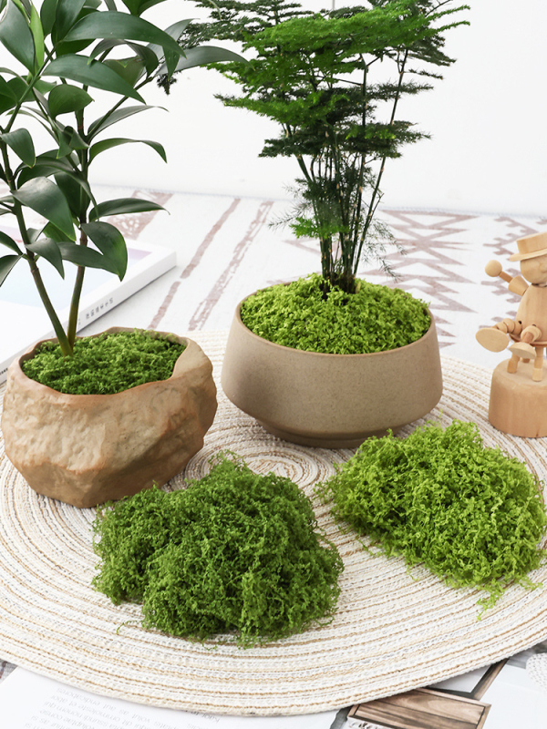 Soaring Šilkas gėlė Brushed Grass Moss Turf Mikro Peizažo Ornamentas — Drėgnas prisilietimo jausmas, vestuvėms, lauko erdvėms ir namų dekoracijai