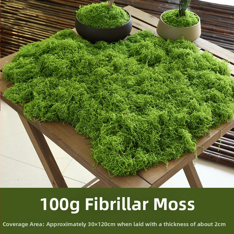 Soaring Šilkas gėlė Brushed Grass Moss Turf Mikro Peizažo Ornamentas — Drėgnas prisilietimo jausmas, vestuvėms, lauko erdvėms ir namų dekoracijai